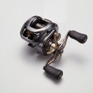 Low-Profile Baitcasting Reel